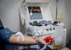 MT Hemocentro Anuncia Calendário de Coletas de Sangue para Setembro