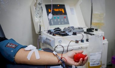 MT Hemocentro Anuncia Calendário de Coletas de Sangue para Setembro