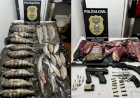 Seis pessoas são presas por crime ambiental em Ribeirão Cascalheira