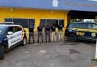 PRF em operação integrada com a PM apreende 185 tabletes de maconha na BR-158 em Água Boa