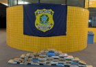 Casal é preso com mais de 40 kg de maconha na BR-070, em Barra do Garças