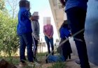 Justiça manda internar alunas que espancaram a colega na escola em MT