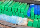 Trio é detido por tráfico com 485 kg de maconha; grupo viajava com criança