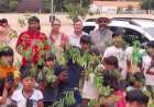 Ação ambiental leva 600 mudas nativas às aldeias Xavantes