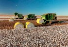 Governo de MT prorroga diferimento do ICMS para fertilizantes e mantém benefício até dezembro de 2026