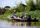 Período de defeso da piracema termina neste sábado (31)