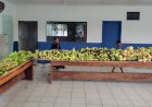 Seaf fortalece produção da agricultura familiar indígena e impulsiona renda e autonomia das aldeias