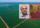 Desembargadores abandonam disputa de R$ 200 milhões da Fazenda Poconé e produtores exigem nulidade de despejos em Querência