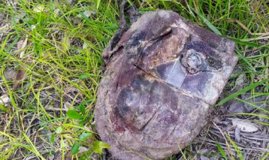 Polícia Civil localiza corpo de jovem desaparecida em São Félix do Araguaia