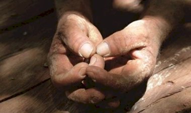 MT é o 3º com maior número de trabalhadores resgatados