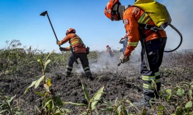 Barra do Garças e Água Boa têm 12 vagas para brigadistas; salários de R$ 2,4 mil