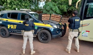 Pássaros silvestres são apreendidos em bagageiro de ônibus em Barra do Garças
