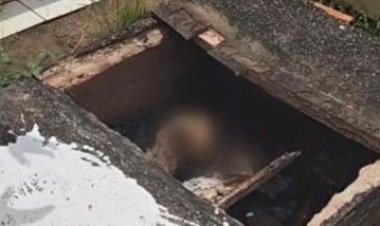 Zelador de cemitério acha túmulo violado com cabeça de porco e corpo esquartejado