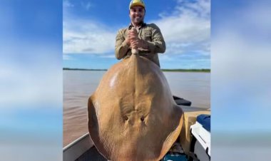 Arraia gigante é fisgada por advogado no Rio Araguaia: ‘Momento único’