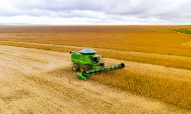 Safra de grãos 24/25 projeta recorde de 332,9 milhões de toneladas