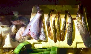 Operação apreende material predatório, pescado e arma de fogo no Rio das Mortes