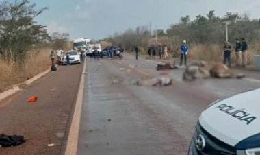 Motociclista morre atropelado por caminhão após bezerro invadir pista na BR-158