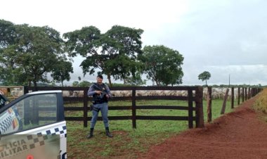 Proprietário reconhece rebanho e PM recupera gado e cavalo furtados na região do Araguaia
