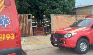 Onça-parda é resgatada por bombeiros em lavanderia de residência em Nova Xavantina