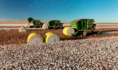 Governo de MT prorroga diferimento do ICMS para fertilizantes e mantém benefício até dezembro de 2026