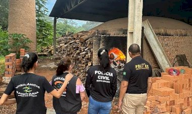 Cerca de 60 quilos de drogas apreendidas em Barra do Garças são incinerados pela Polícia Civil