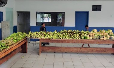 Seaf fortalece produção da agricultura familiar indígena e impulsiona renda e autonomia das aldeias