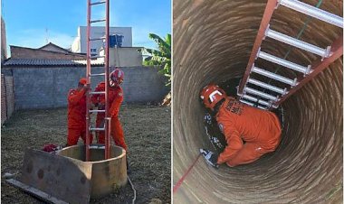 Cão cai em cisterna, quase morre afogado, mas é salvo pelos bombeiros