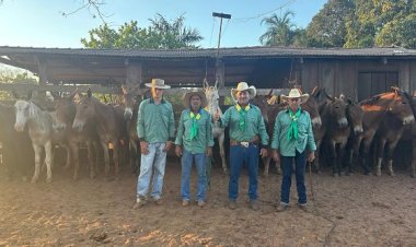 Comitiva de Bom Jesus do Araguaia percorre quase 800 km rumo à Romaria de Trindade