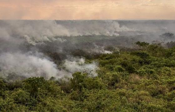 Governo Lula decreta emergência ambiental em Mato Grosso