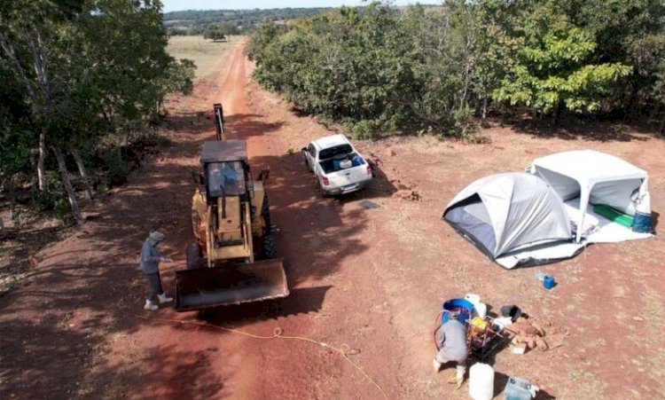 Governo de MT declara emergência zoossanitária após confirmação de caso de gripe aviária em Campinápolis