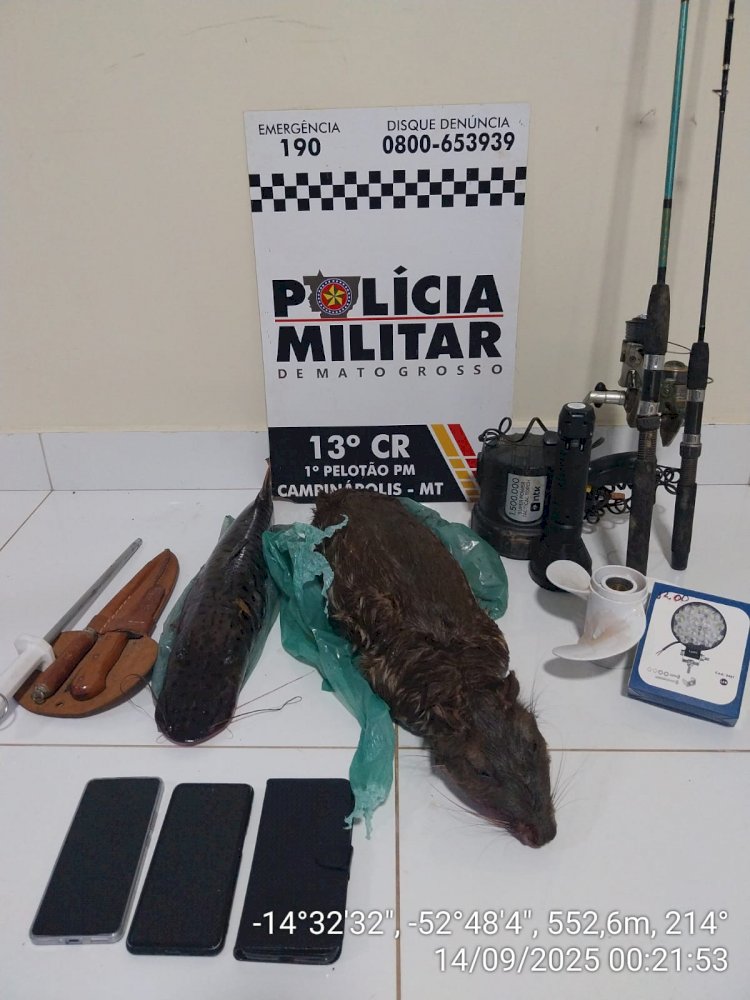 Polícia Militar apreende animais silvestres abatidos e pescado irregular em Campinápolis