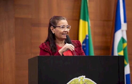 Assembleia discute mudança em lei para melhorar acolhimento de mulheres vítimas da violência