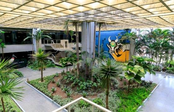 Mato Grosso retirou 309 mil pessoas da pobreza desde 2019