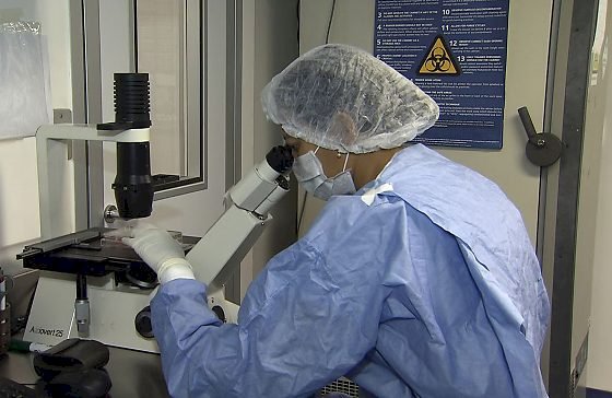 Como cientistas 